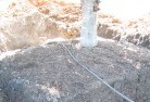Pipers Flattree-transplanting-4.jpg; ?>